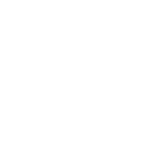 Icon 11